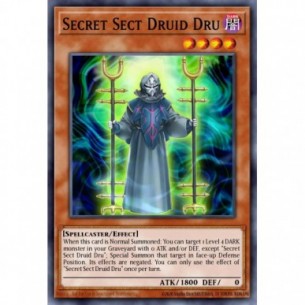 Druido Dru Setta Segreta