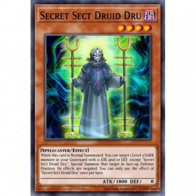 Druido Dru Setta Segreta