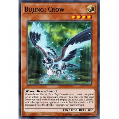 Bujingi Crow
