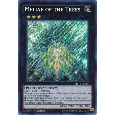 Meliae of the Trees