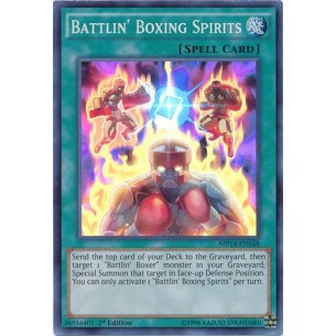 Spiriti Pugilistici Indomiti