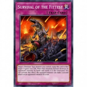 Survival of the Fittest