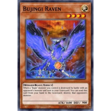 Bujingi Raven