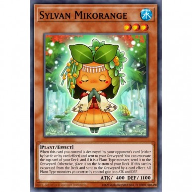 Mikoarancia Silvana