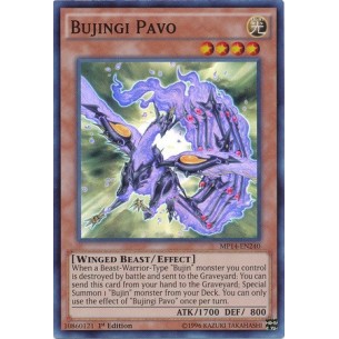 Bujingi Pavo