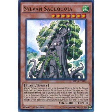 Saggiasequoia Silvana