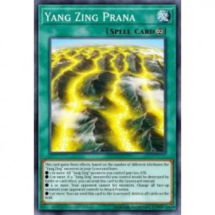 Prana Yang Zing