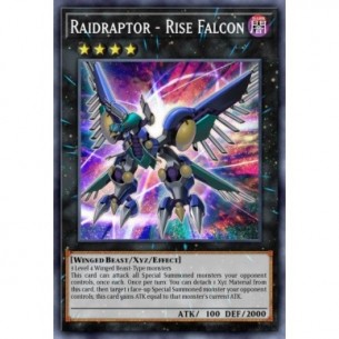Raidraptor - Falco Ascendente