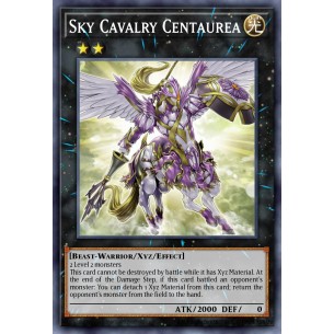 Cavalleria del Cielo Centaurea