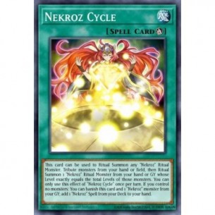 Ciclo Nekroz