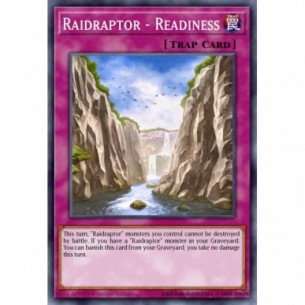 Raidraptor - Prontezza