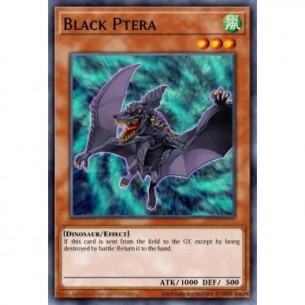 Black Ptera