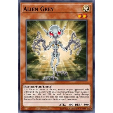 Alieno Grigio