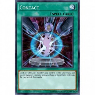 Contact