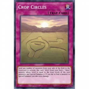 Impronte Circolari nei Campi