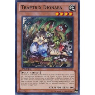 Trappolatrice Dionaea