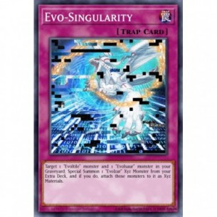 Evo-Singolarità