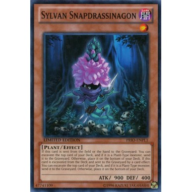 Scattodragassassino Silvano (V.2 -...