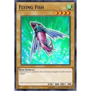 Flying Fish (V.1 - Common)