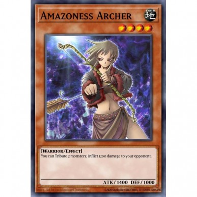 Amazoness Archer (V.1 - Common)