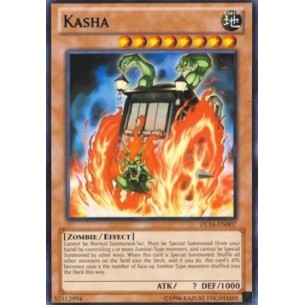Kasha (V.1 - Blue)