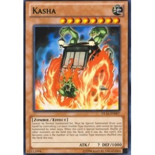 Kasha (V.2 - Green)