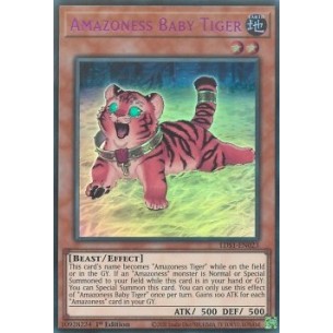 Cucciolo di Tigre Amazoness...