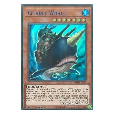 Citadel Whale (V.1 - Blue)