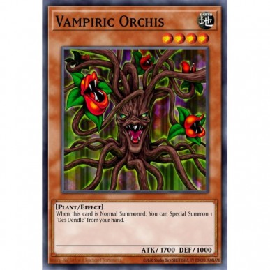 Orchidea Vampir