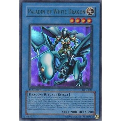 Paladin of White Dragon