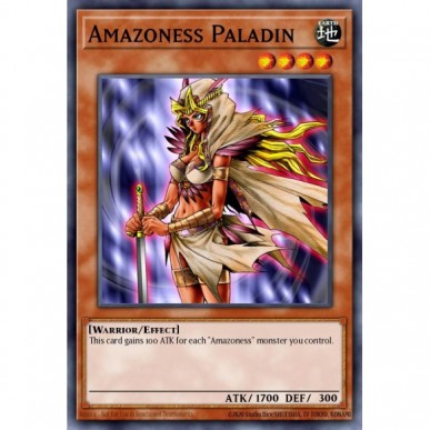 Amazoness Paladin