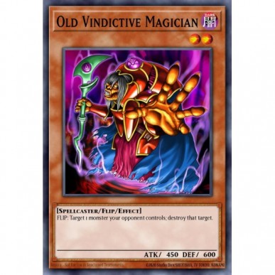 Anziano Mago Vendicativo
