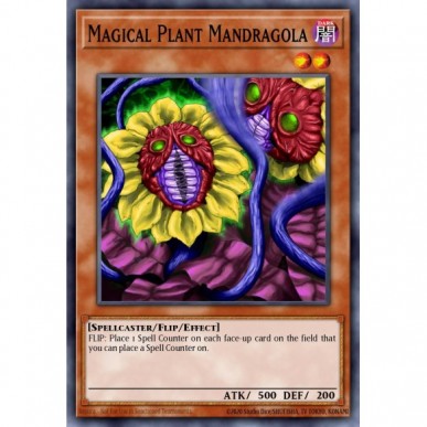 Magical Plant Mandragola