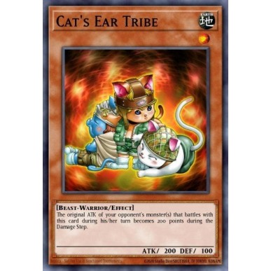 Cat's Ear Tribe