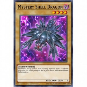 Drago Carapace Misterioso