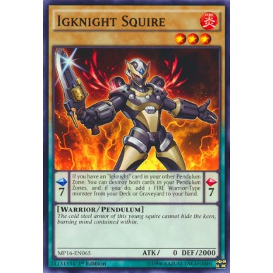 Igknight Squire