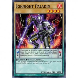 Fuocavaliere Paladino