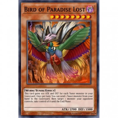 Uccello del Paradiso Perduto