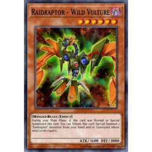 Raidraptor - Avvoltoio...