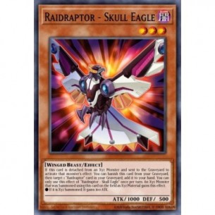 Raidraptor - Aquila Teschio