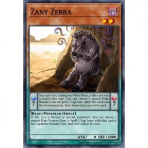 Zebra Bizzarra