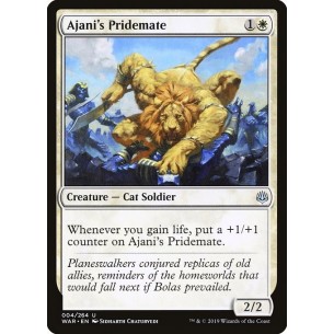 Compagno di Ajani