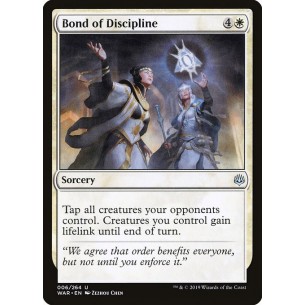 Vincolo di Disciplina