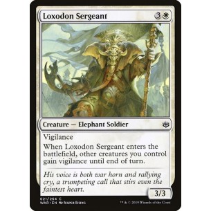Sergente Lossodonte