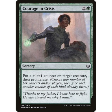 Coraggio nella Crisi