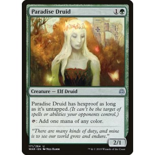 Druida del Paradiso