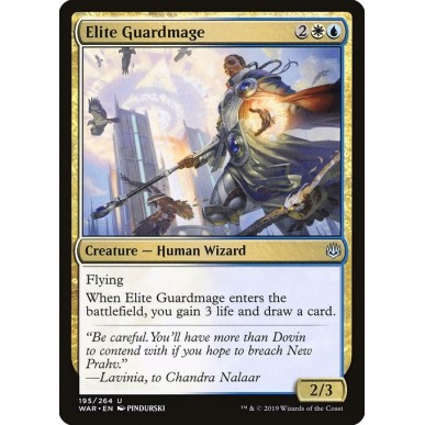 Elite Guardmage