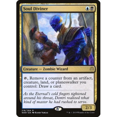 Divinatore di Anime