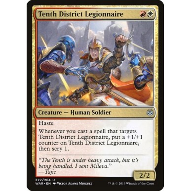 Legionaria del Decimo Distretto