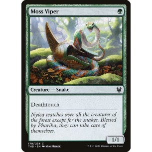 Vipera del Muschio